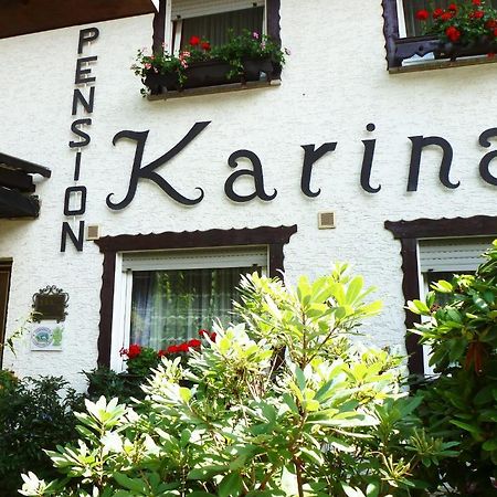 Pension Karina Lindenfels Kültér fotó